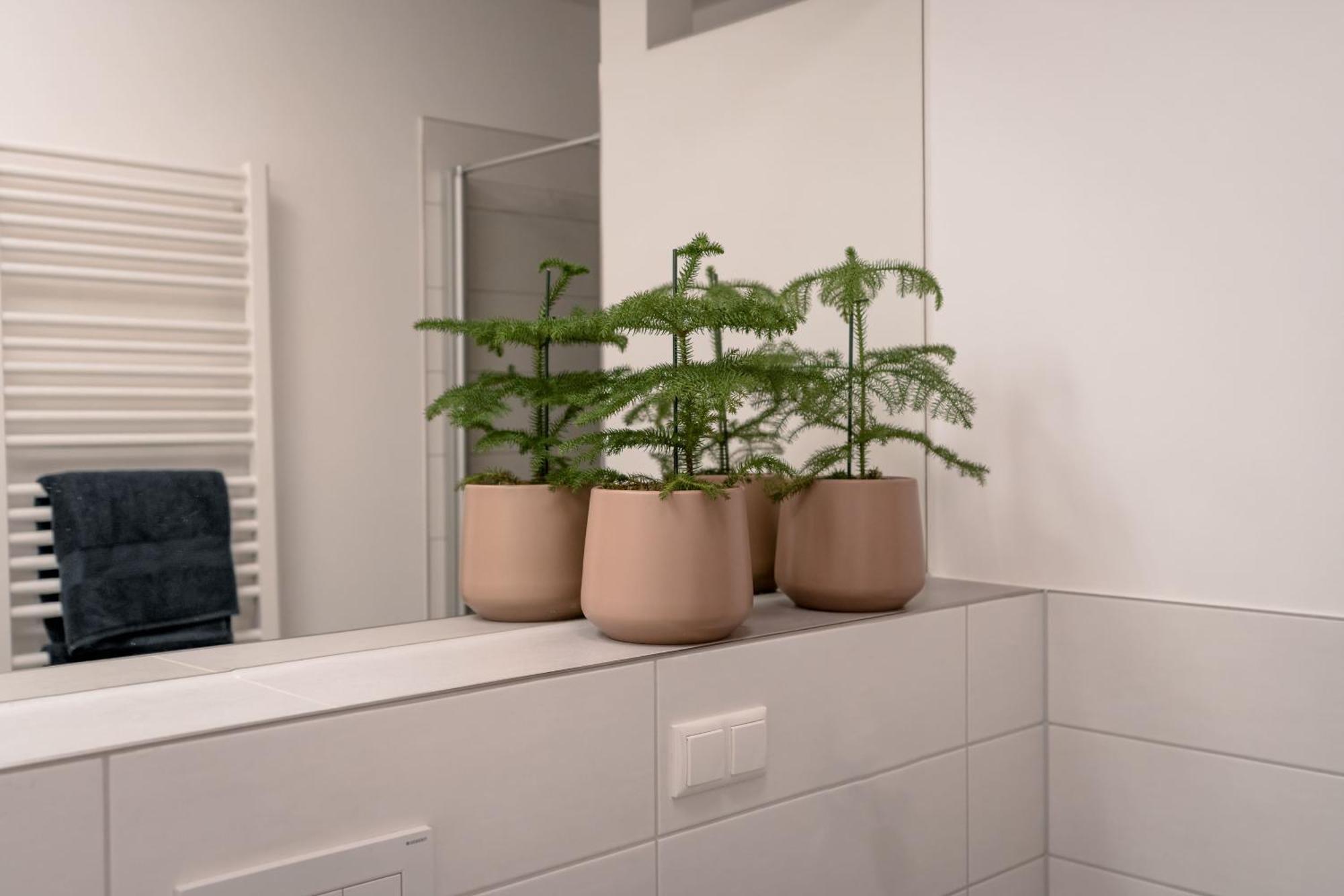 Ferienwohnung Altstadt 雷根斯堡 外观 照片